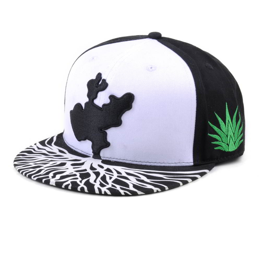 printing brim 3d embroidery snapback hats custom