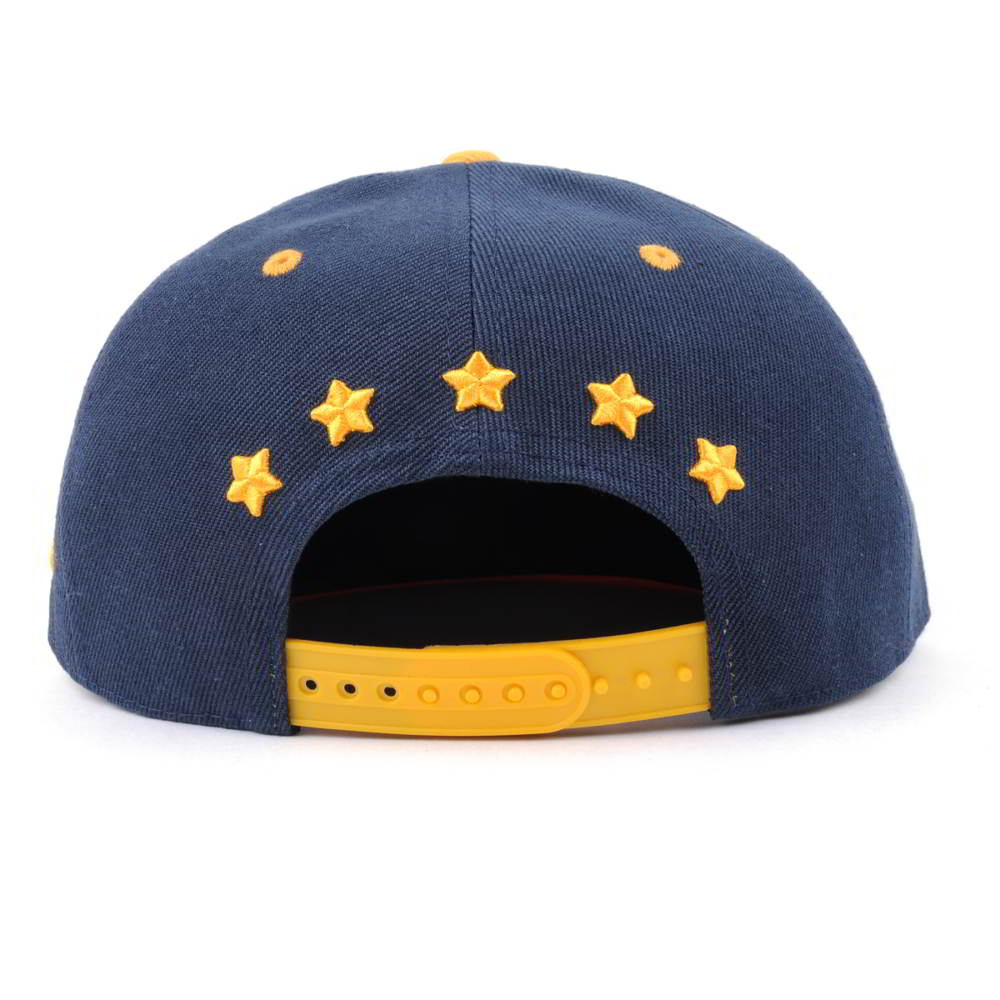 6 panels embroidery patch snapback caps