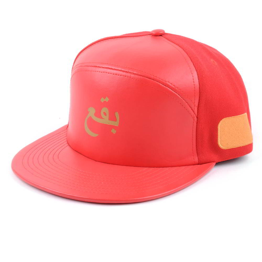 special 6 panels printing logo leather snapback hats