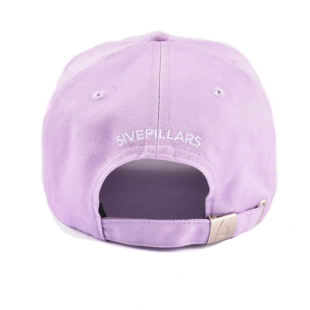 5 panels plain embroidery baseball caps sports hats